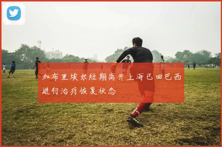 加布里埃尔短期离开上海已回巴西进行治疗恢复状态